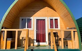 Cozy Capsules - Modern Hut